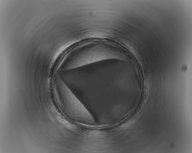 X0000112420779200908281838