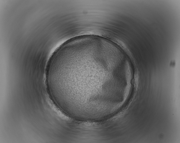 X0000112420780200908281838