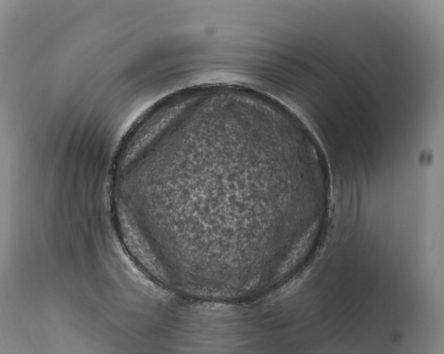 X0000112420783200908281838