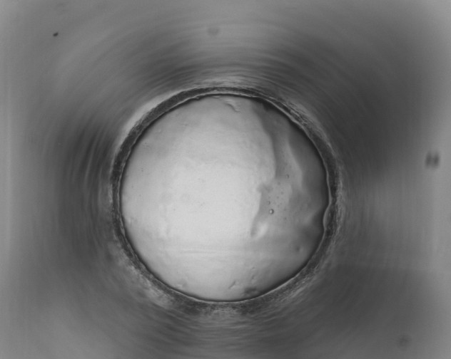 X0000112420784200908281838