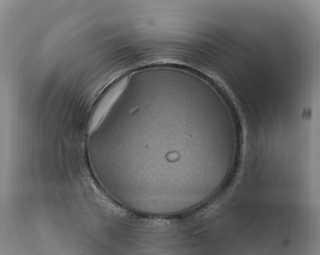 X0000112420785200908281838