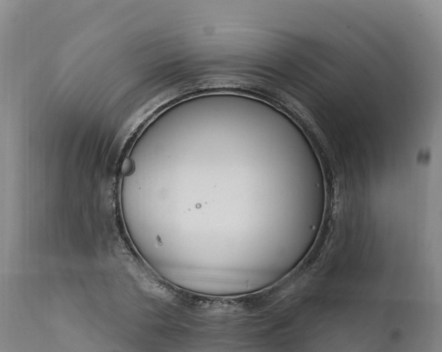 X0000112420786200908281838