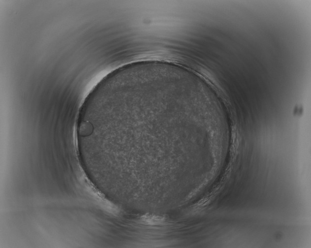 X0000112420788200908281838