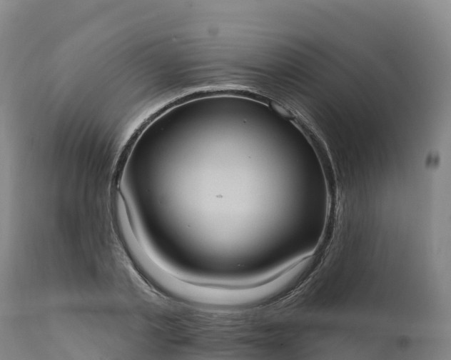 X0000112420789200908281838