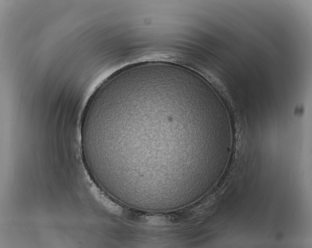 X0000112420792200908281838