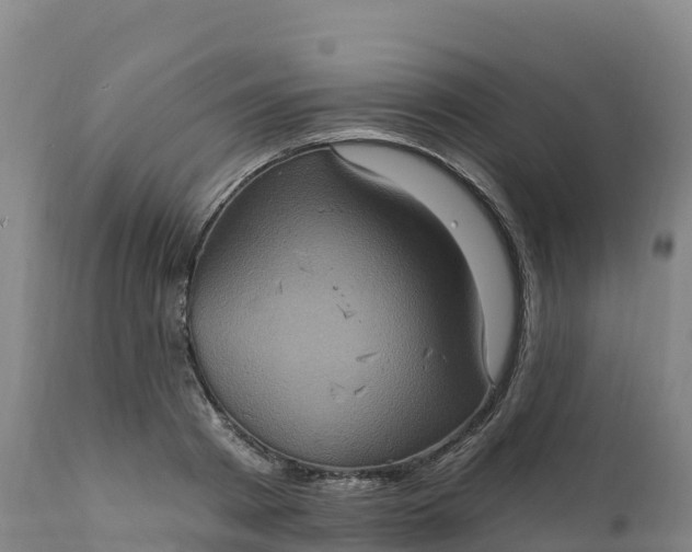 X0000112420793200908281838