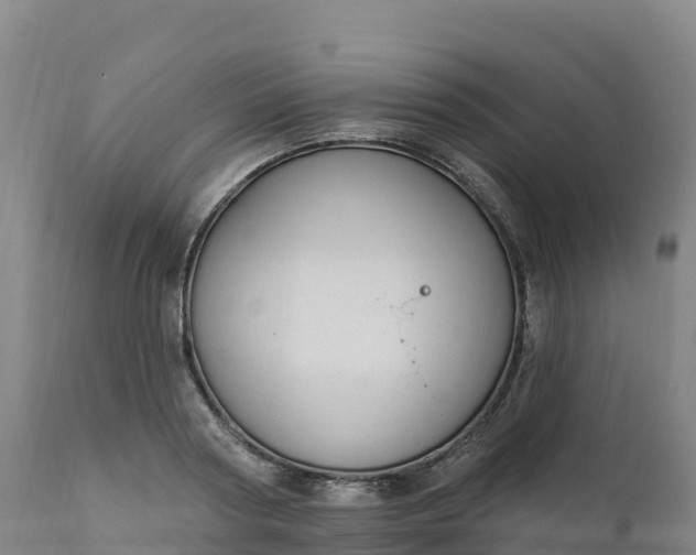 X0000112420794200908281838