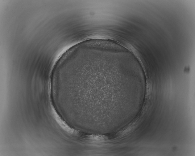 X0000112420795200908281837