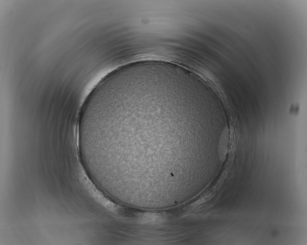 X0000112420796200908281837