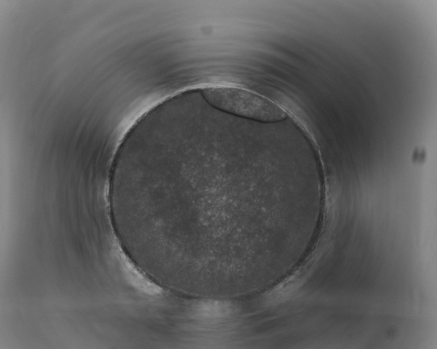 X0000112420797200908281837