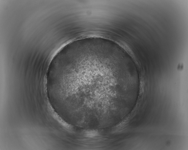 X0000112420798200908281837