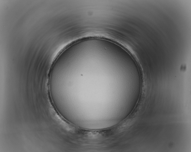 X0000112420799200908281837