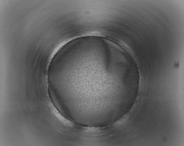 X0000112420800200908281837