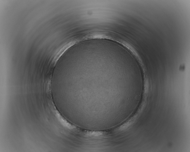 X0000112420801200908281837