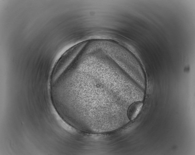 X0000112420803200908281837