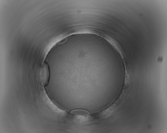 X0000112420805200908281837