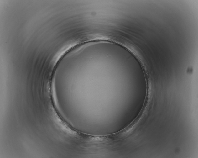 X0000112420806200908281837