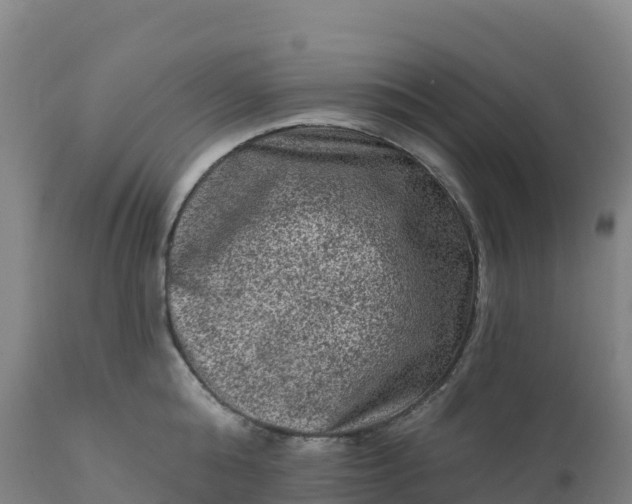 X0000112420808200908281837