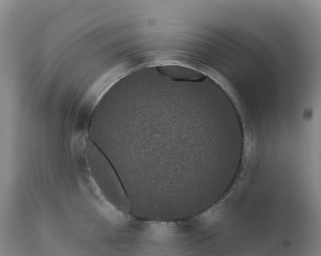 X0000112420809200908281837