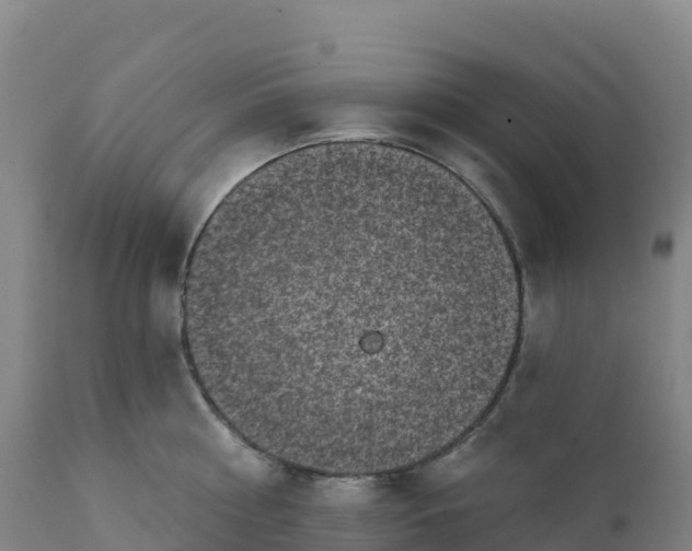 X0000112420810200908281837