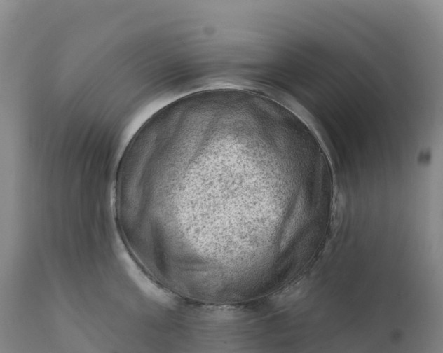 X0000112420811200908281837