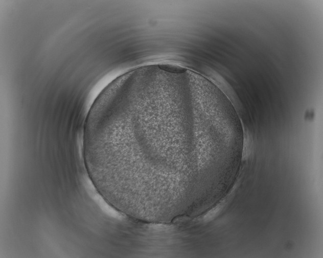 X0000112420812200908281837