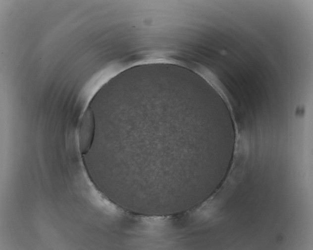 X0000112420813200908281837