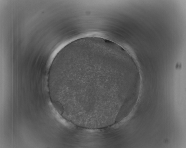 X0000112420816200908281837