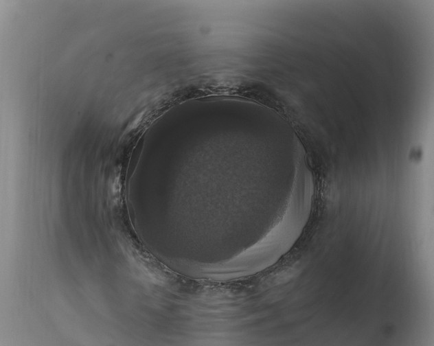 X0000112420818200908281836