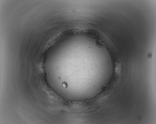 X0000112420819200908281836