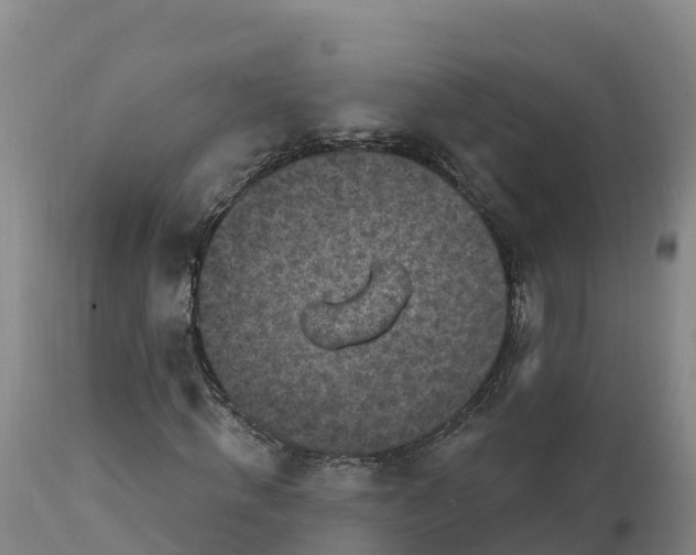 X0000112420820200908281836