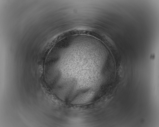 X0000112420821200908281836