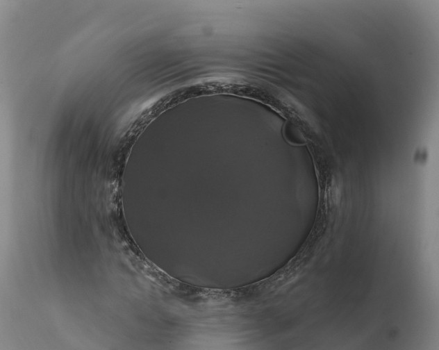 X0000112420822200908281836