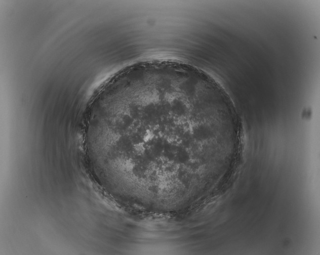 X0000112420823200908281836