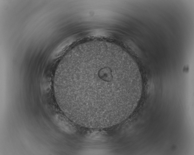 X0000112420824200908281836