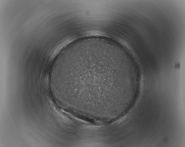 X0000112420825200908281836