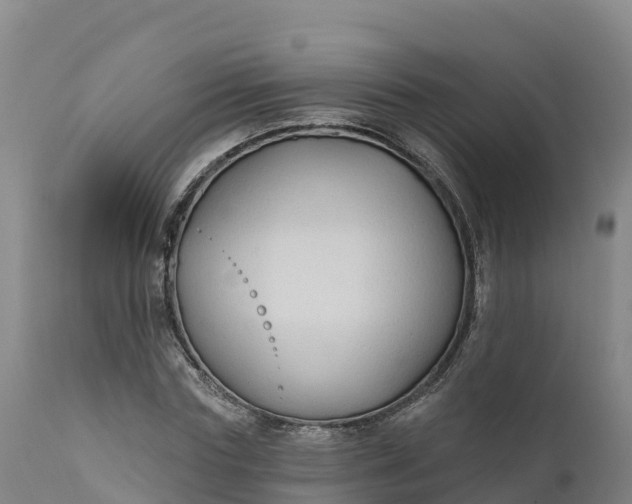 X0000112420827200908281836