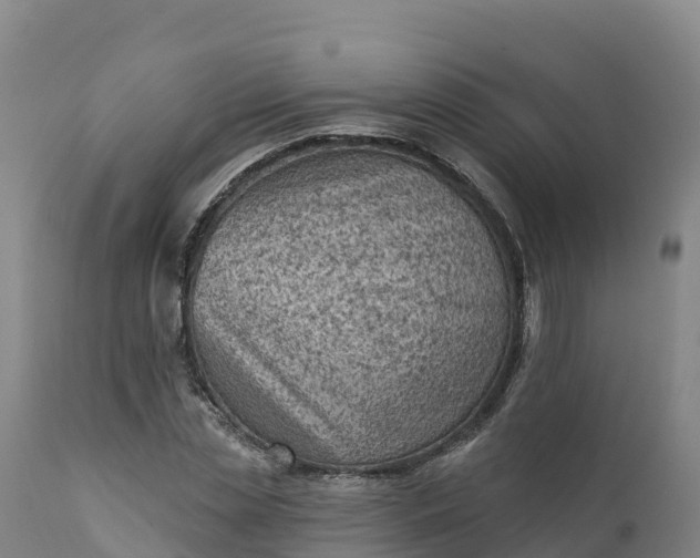 X0000112420829200908281836