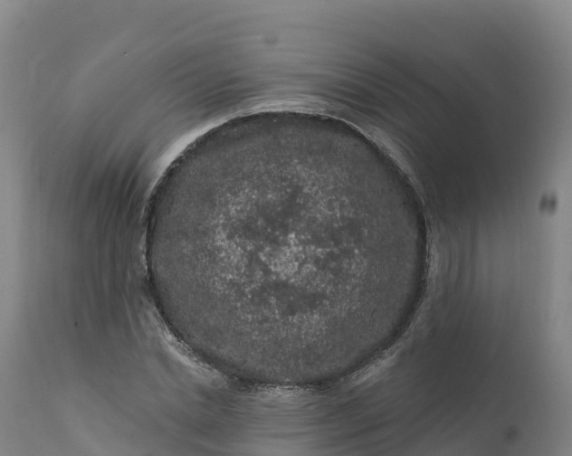 X0000112420830200908281836