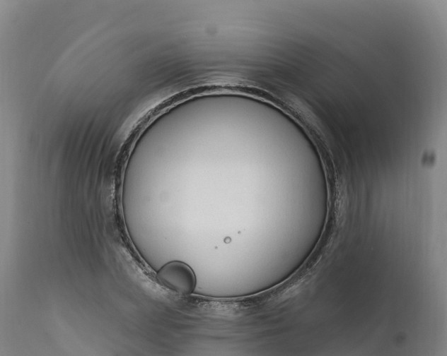 X0000112420831200908281836