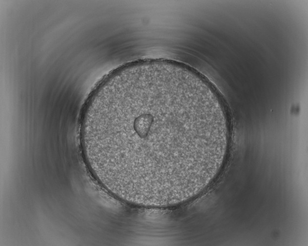 X0000112420832200908281836