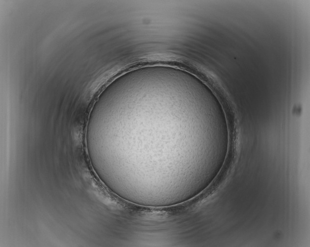 X0000112420833200908281836