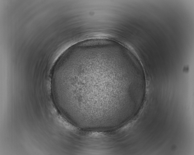 X0000112420835200908281836