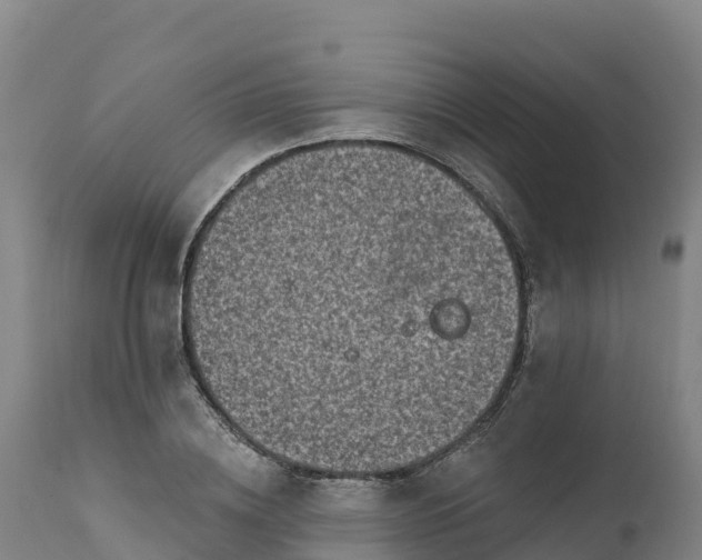 X0000112420836200908281836