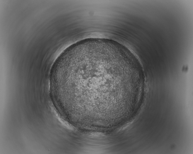 X0000112420837200908281836