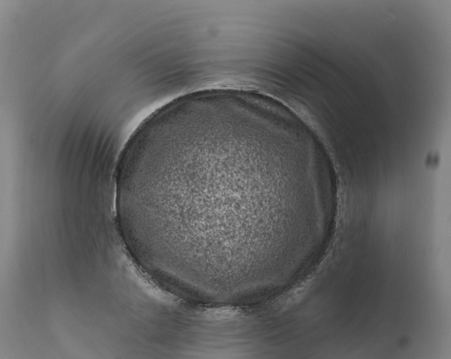 X0000112420838200908281836