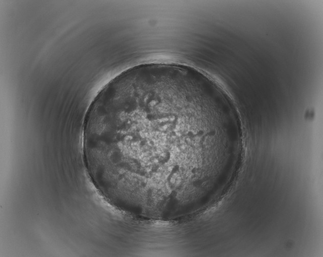 X0000112420839200908281837