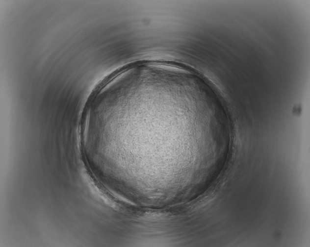 X0000112420840200908281837