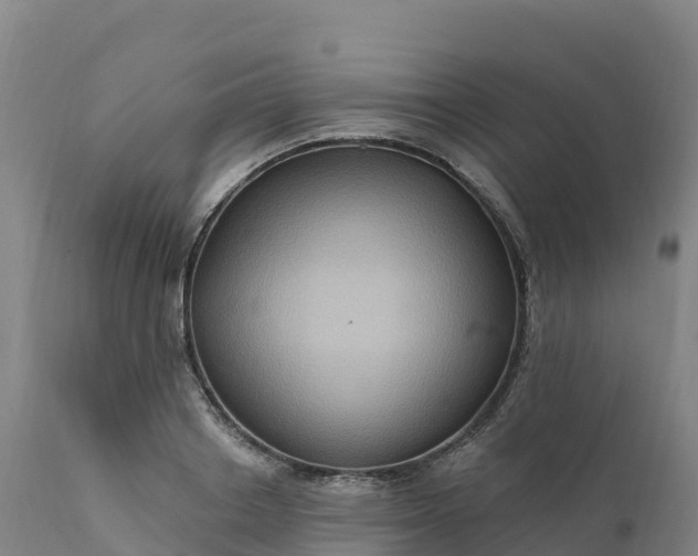 X0000112420842200908281837