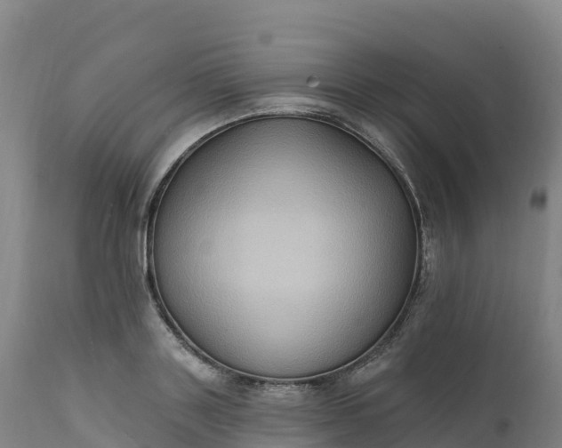 X0000112420843200908281837